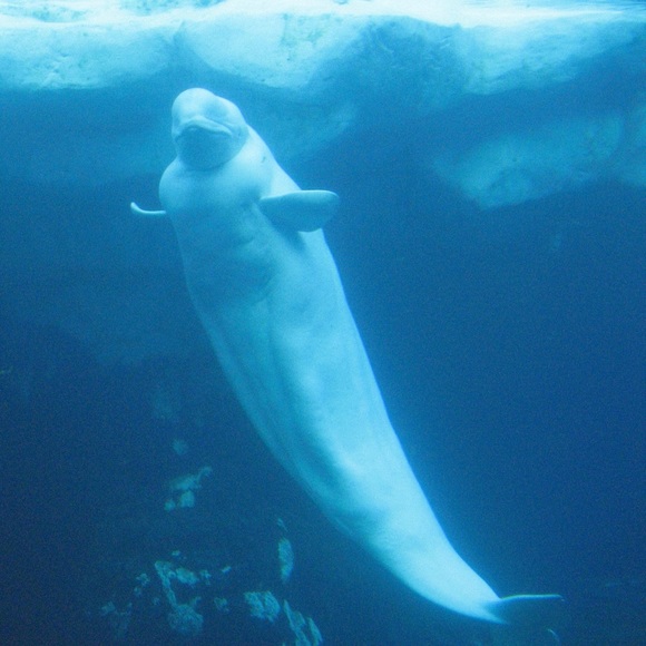 Meet your Posher, Pam - Picture 10 of 12